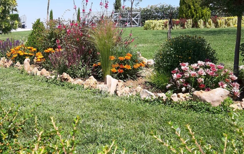 garden mng thumbnail