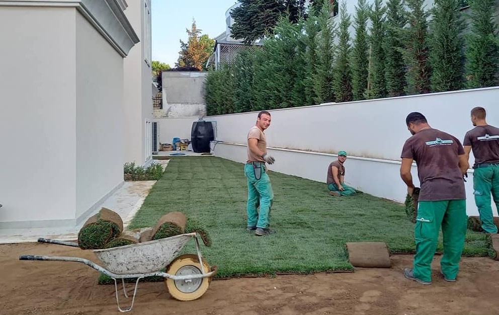 sod placement thumbnail